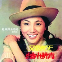鳳飛飛金唱片第四集 - Feng Fei Fei