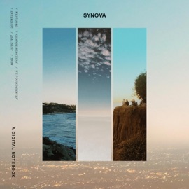 Change:Reaction Synova