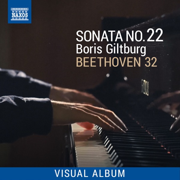 Beethoven 32: Sonata No. 22 (Visual Album)