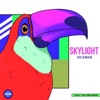 Zicarius - Skylight