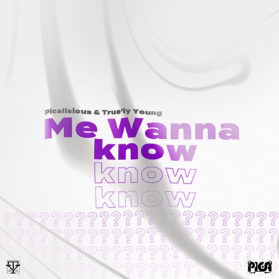 Me Wanna Know (feat. Picalisious) - Single