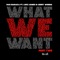 What We Want, Pt. 2 (feat. JERRY WONDA & Luke James) - Single