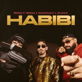 Habibi artwork