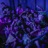 Project X (feat. Franco Zarate)