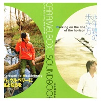 Huckleberry ni sayonara wo - Single