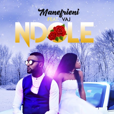 Ndole (feat. Vaj) - Single