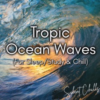 Album cover for Tropic Ocean Waves - Part 77 by Silent Chills