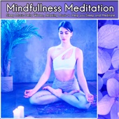 Mindfullness Meditation: Sleep Music Delta Waves, Relaxing Music to Help you Sleep and Meditate artwork
