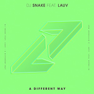 DJ Snake - A Different Way (feat. Lauv) - Line Dance Musique