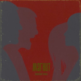 Магнит Антигона