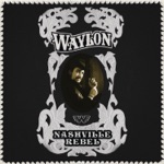 Waylon Jennings - It's Sure Been Fun