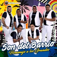 Homenaje a Los Grandes - Son Del Barrio