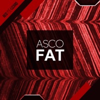 Fat - Single - ASCO