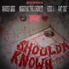 Should of Known (Remix) [feat. Magadino The Chemist, R3DD L & Ant Def] - Single