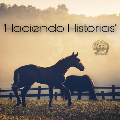Haciendo Historias