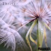 Thrive - Single