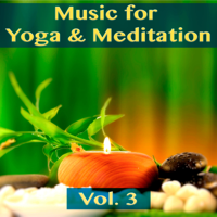 Mrm Team - Music for Yoga & Meditation, Vol. 3 artwork