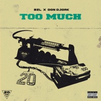 Too Much (feat. BZL) - Single - Don Djork