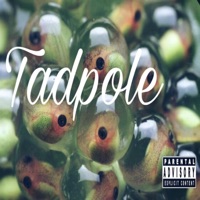Tadpole - Single - Yung Abe