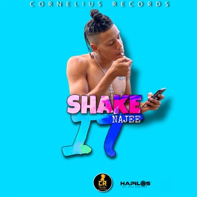Shake It (Radio Edit) - Najee | Shazam