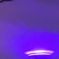 Capacity - Single - Squire