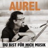 Du bist für mich Musik - Single