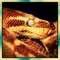 The Dance of the Snake - Blasto Beats lyrics