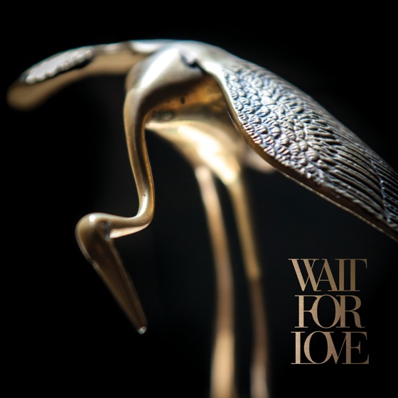 Cover artwork for Charisma