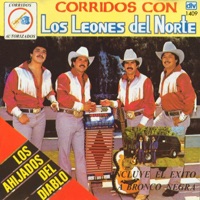 Cachas de Oro