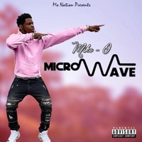 Microwave - Single - Mike-O