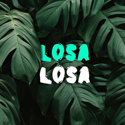 Losa Losa (feat. Sash, Narek Face & Big-E) - Single