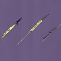 Glean - Single - Lilac & Plusma