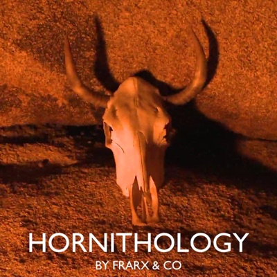 Hornithology (feat. Esther de Haas, Marcel Gorissen, Jos Hendriks, Edwin Menheere & Frank van Wely) - Single