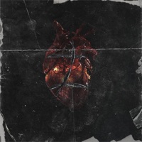 Wonder - Single - Fenrir