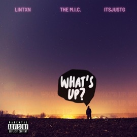 What's Up (feat. The M.I.C.) Lintxn