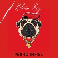 Perro infiel - Single - Kelvin Rey Panamá