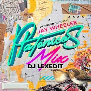 Jay Wheeler & DJ Nelson - La Curiosidad (feat. Myke Towers) (Mixed) - 排舞 音樂