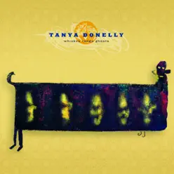 Whiskey Tango Ghosts - Tanya Donelly