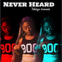 Album cover for Never Heard by Taleiya Armanii