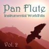 Pretty Woman (Instrumental) - Pan Flute