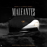 Maleantes (feat. Ángel C) - Single - Surge Money