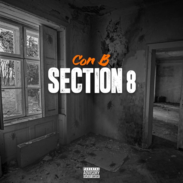 Section 8