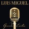 La Medía Vuelta - Luis Miguel lyrics