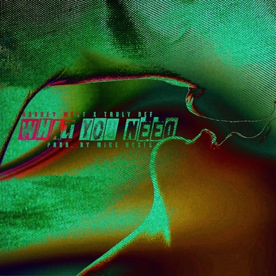 What You Need (feat. Truly Def) - Single