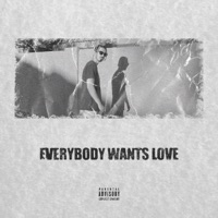 EVERYBODY WANTS LOVE - Single - Trent Stark