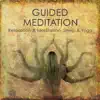 Guided Meditation - Healing Touch with Music Therapy
