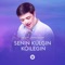 Senin Kulgin Koilegin artwork