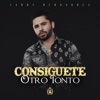 Consiguete Otro Tonto - Single