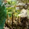 Nou pa ka (feat. Warn'er) - Djo Black lyrics