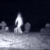 Cemetery Goons (feat. Silflay) - Single - Bugboi